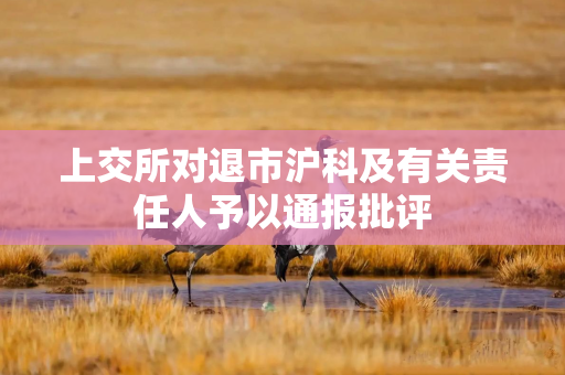 上交所对退市沪科及有关责任人予以通报批评