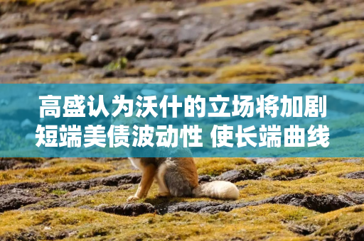 高盛认为沃什的立场将加剧短端美债波动性 使长端曲线更趋平稳