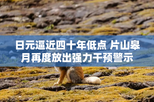 日元逼近四十年低点 片山皋月再度放出强力干预警示 日元逼近四十年低点 片山皋月再度放出强力干预警示