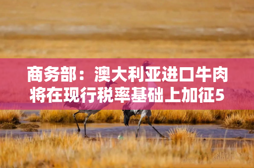 商务部：澳大利亚进口牛肉将在现行税率基础上加征55%关税