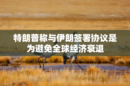 特朗普称与伊朗签署协议是为避免全球经济衰退