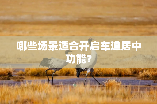 哪些场景适合开启车道居中功能？