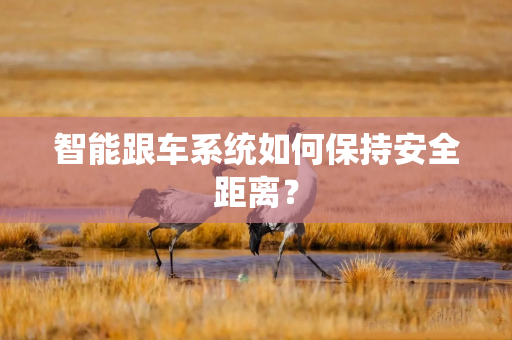 智能跟车系统如何保持安全距离？