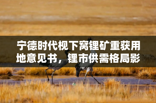 宁德时代枧下窝锂矿重获用地意见书，锂市供需格局影响几何？