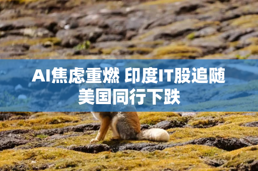 AI焦虑重燃 印度IT股追随美国同行下跌 AI焦虑重燃 印度IT股追随美国同行下跌