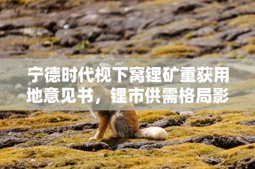 宁德时代枧下窝锂矿重获用地意见书，锂市供需格局影响几何？