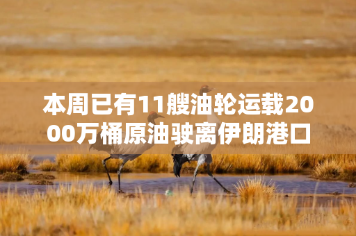 本周已有11艘油轮运载2000万桶原油驶离伊朗港口 本周已有11艘油轮运载2000万桶原油驶离伊朗港口
