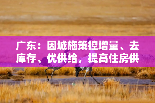 广东：因城施策控增量、去库存、优供给，提高住房供应适配性
