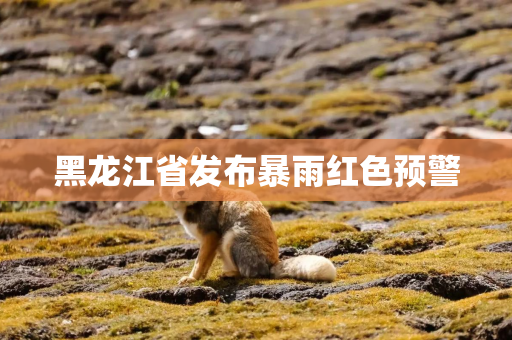 黑龙江省发布暴雨红色预警