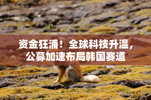 资金狂涌！全球科技升温，公募加速布局韩国赛道