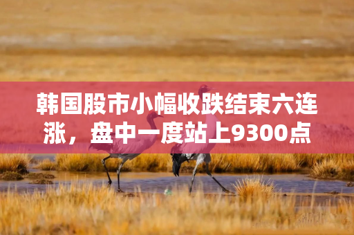 韩国股市小幅收跌结束六连涨，盘中一度站上9300点