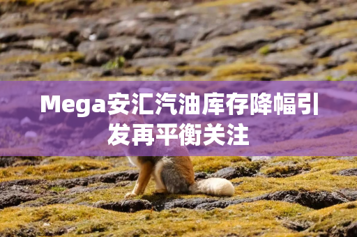 Mega安汇汽油库存降幅引发再平衡关注