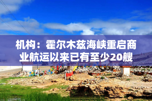 机构：霍尔木兹海峡重启商业航运以来已有至少20艘油轮通航