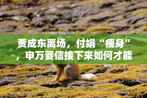 贾成东离场，付娟“瘦身”，申万菱信接下来如何才能打出好牌？