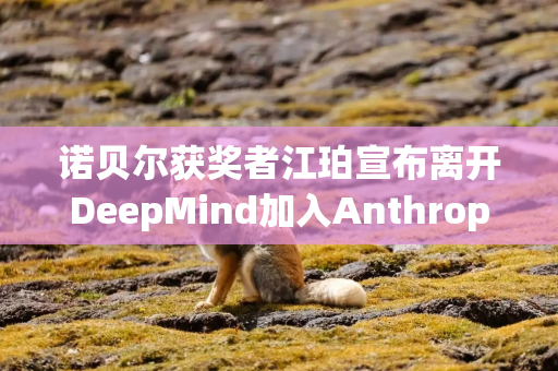 诺贝尔获奖者江珀宣布离开DeepMind加入Anthropic