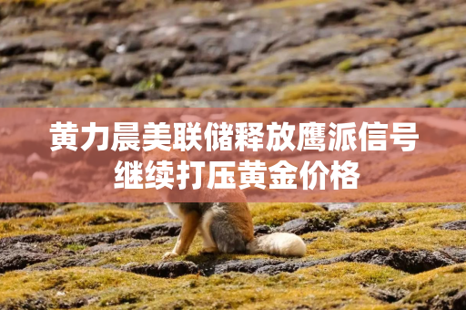 黄力晨美联储释放鹰派信号 继续打压黄金价格