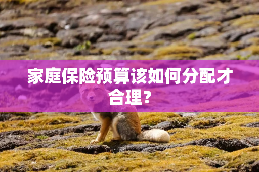 家庭保险预算该如何分配才合理? 家庭保险预算该如何分配才合理?
