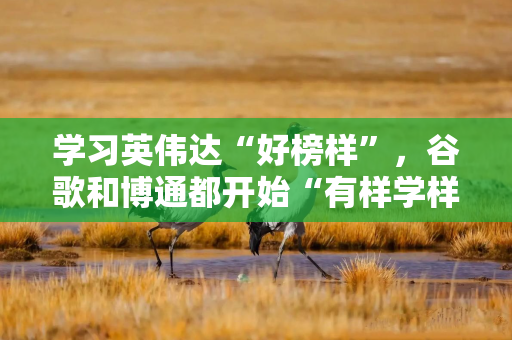 学习英伟达“好榜样”，谷歌和博通都开始“有样学样”，开启“AI芯片闭环”