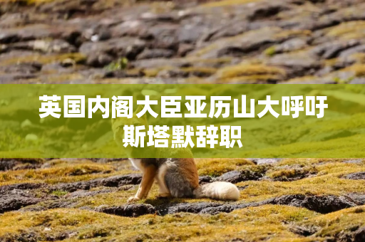 英国内阁大臣亚历山大呼吁斯塔默辞职