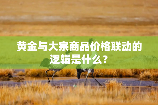 黄金与大宗商品价格联动的逻辑是什么？
