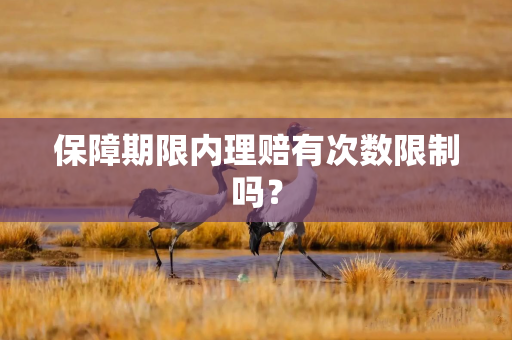 保障期限内理赔有次数限制吗？