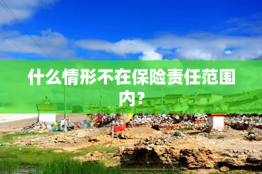 什么情形不在保险责任范围内？