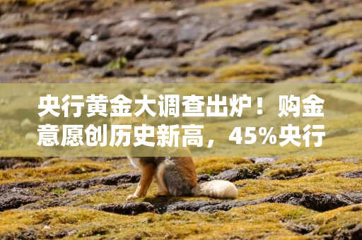 央行黄金大调查出炉！购金意愿创历史新高，45%央行计划增持
