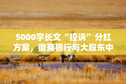 5000字长文“控诉”分红方案，徽商银行与大股东中静系矛盾爆发