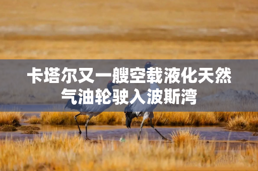 卡塔尔又一艘空载液化天然气油轮驶入波斯湾