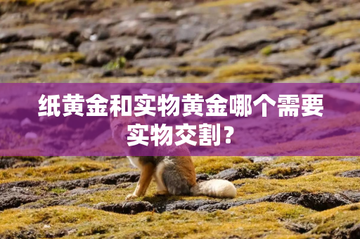 纸黄金和实物黄金哪个需要实物交割？