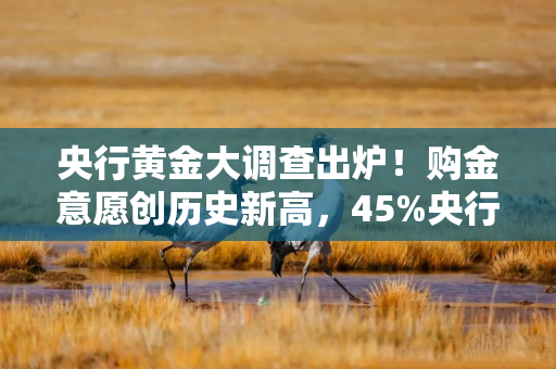 央行黄金大调查出炉！购金意愿创历史新高，45%央行计划增持