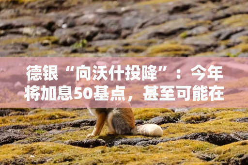 德银“向沃什投降”：今年将加息50基点，甚至可能在7月提前加息