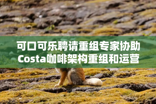 可口可乐聘请重组专家协助Costa咖啡架构重组和运营优化