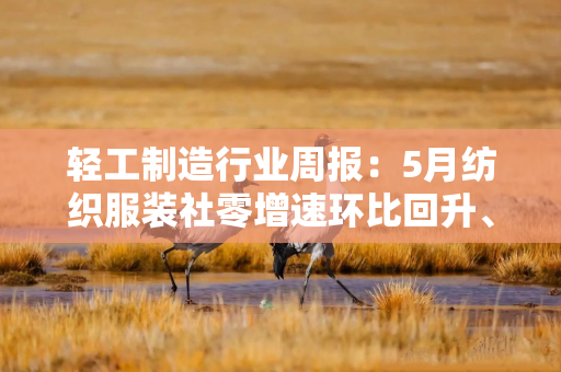 轻工制造行业周报：5月纺织服装社零增速环比回升、金银珠宝降幅收窄
