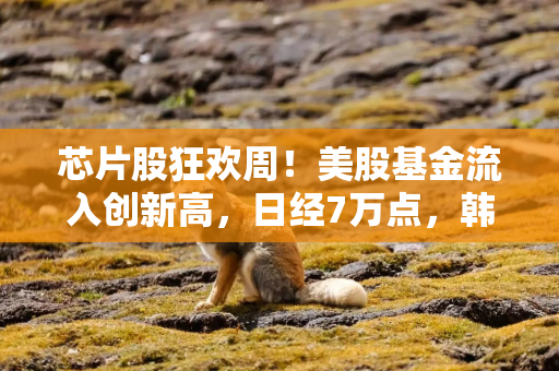 芯片股狂欢周！美股基金流入创新高，日经7万点，韩股一年涨两倍