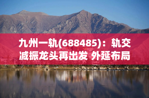 九州一轨(688485)：轨交减振龙头再出发 外延布局硅光高景气赛道