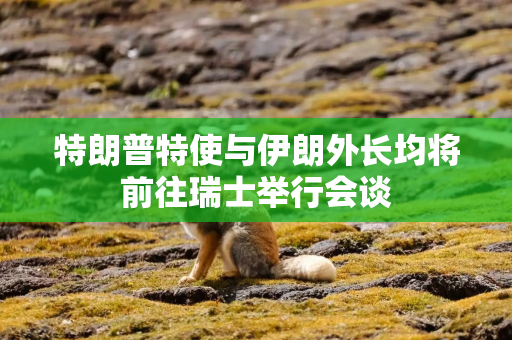 特朗普特使与伊朗外长均将前往瑞士举行会谈