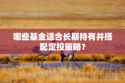 哪些基金适合长期持有并搭配定投策略？