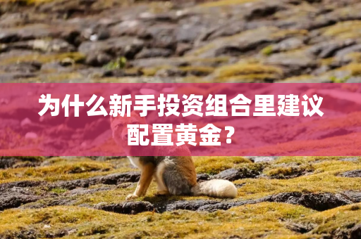 为什么新手投资组合里建议配置黄金？
