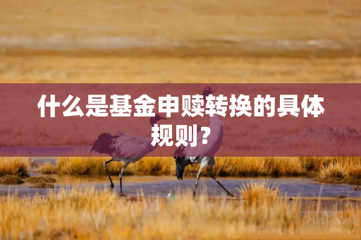 什么是基金申赎转换的具体规则？