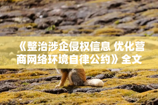 《整治涉企侵权信息 优化营商网络环境自律公约》全文发布
