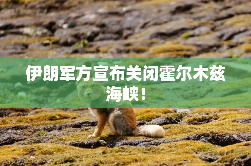 伊朗军方宣布关闭霍尔木兹海峡！