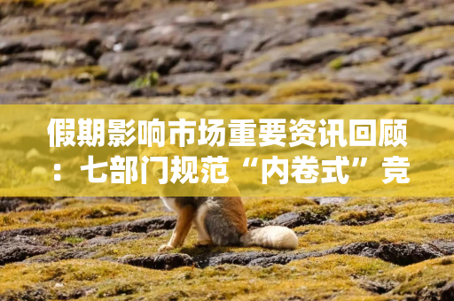 假期影响市场重要资讯回顾：七部门规范“内卷式”竞争，高盛大砍黄金目标价，美伊代表团抵达瑞士谈判会场