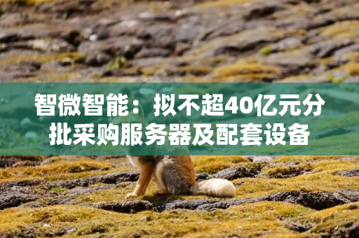 智微智能：拟不超40亿元分批采购服务器及配套设备