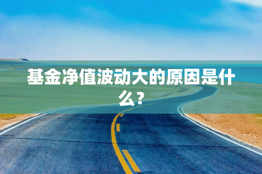 基金净值波动大的原因是什么？