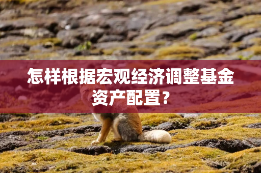 怎样根据宏观经济调整基金资产配置？