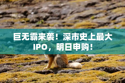 巨无霸来袭！深市史上最大IPO，明日申购！