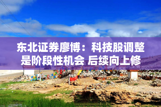 东北证券廖博：科技股调整是阶段性机会 后续向上修复可期