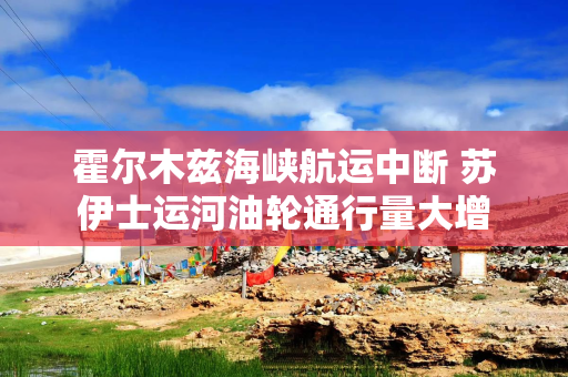 霍尔木兹海峡航运中断 苏伊士运河油轮通行量大增