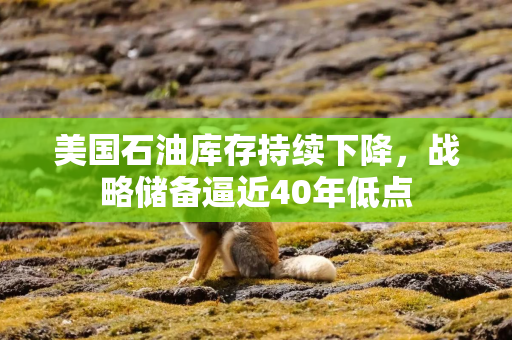 美国石油库存持续下降，战略储备逼近40年低点